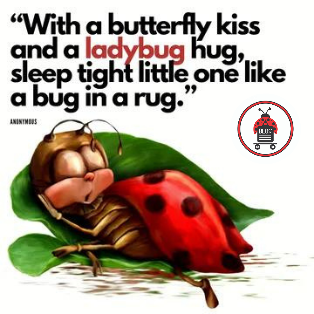 This is a picture of a sleeping ladybug, Ladyblog Newsletter